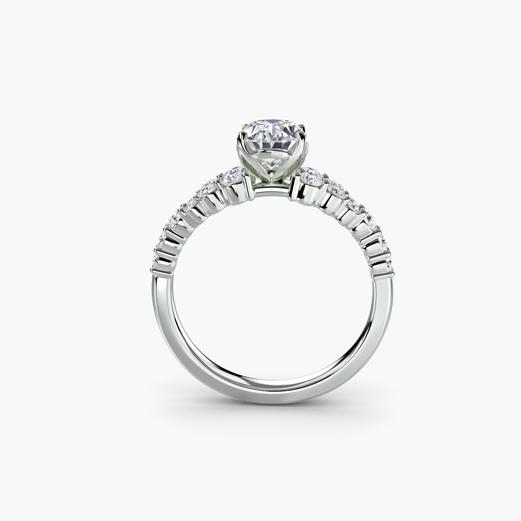 The Selene Cluster Ring